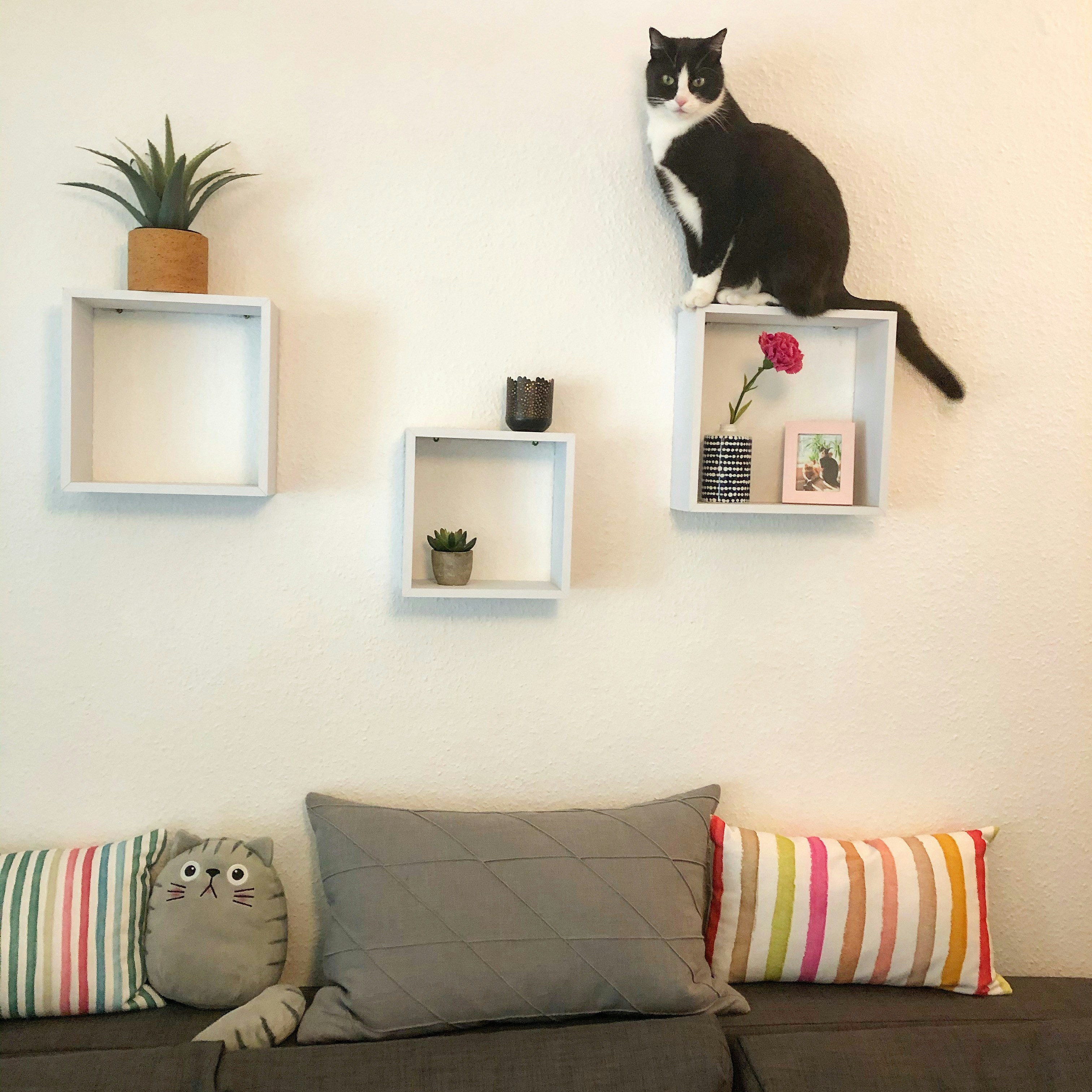 Furniture Fix team at work